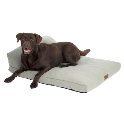 Grand chien marron allongé sur un grand coussin rectangulaire gris clair avec dossier, étiquette en cuir visible sur le coin du coussin.