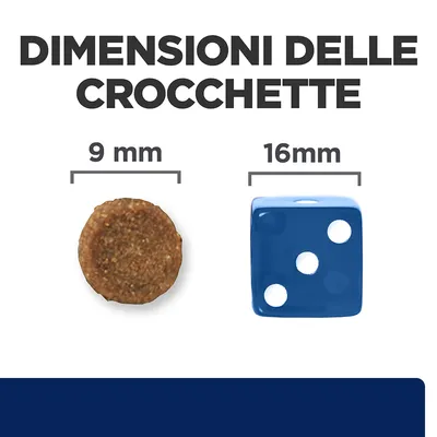 Dimensioni delle crocchette: diametro 9 mm, confronto con dado blu da 16 mm. Testo visibile: 'DIMENSIONI DELLE CROCCHETTE', '9 mm', '16 mm'.