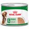 Royal Canin Mini Adult Mousse 12 x 195 g