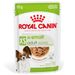 Royal Canin X-Small Adult in Soße 12 x 85 g