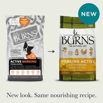 Burns Working Active - Chicken & Rice - 12kg