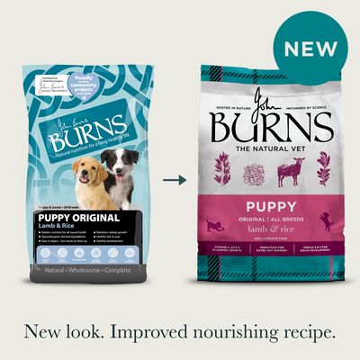 Burns Puppy Original - Lamb & Rice - dog dry food - 6kg