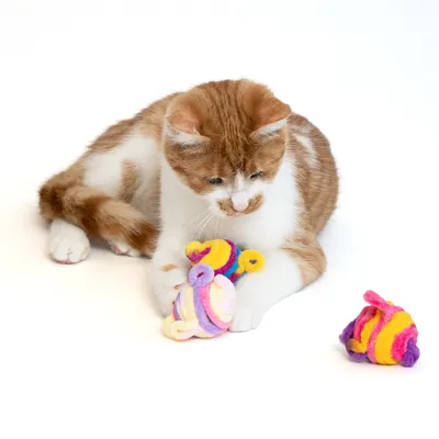 Rote und weisse Katze spielt mit buntem Spielzeug aus Stoff. Zwei farbige Stoffspielzeuge sichtbar.