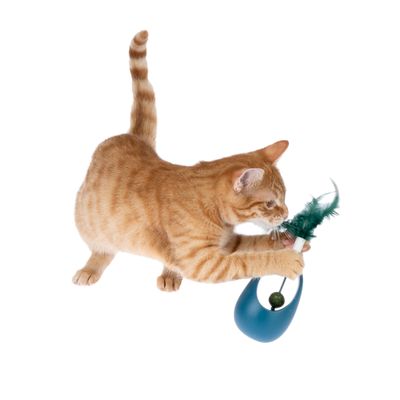 Rode kat speelt met een blauw kattenspeeltje met een groene veer en een bal.