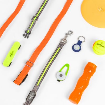 Nomad Tales akcesoria dla psów: pomarańczowe i żółte smycze, obroże z odblaskowymi paskami, piłka do zabawy, frisbee, zawieszka LED i zabawka do żucia.