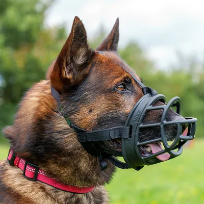 Baskerville Ultra 2.0 munkorg - Stl. 6 t.ex. rottweiler, grand danois