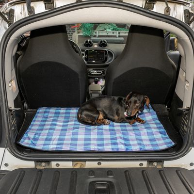 Dog lying on a blue-checked blanket in the boot of a car. Product shows use of blanket as protection for car interior.