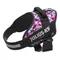 JULIUS-K9 IDC® Power Harness - Pink & Grey Size S