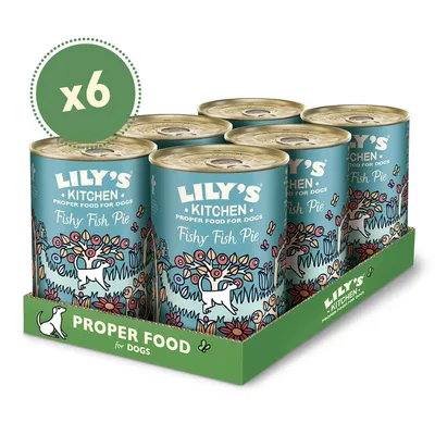 Six cans labelled Lily's Kitchen Fishy Fish Pie, proper food for dogs, displayed in a green tray with 'Proper Food for Dogs' text and an x6 quantity badge.