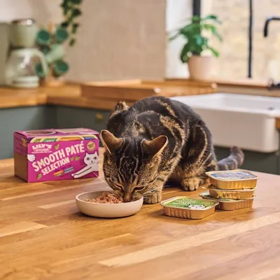Cat eating food from a bowl next to several opened and unopened pâté trays and a box labelled 'Smooth Paté Selection' on a kitchen counter.