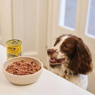 Dog sitting beside a bowl of wet food and an open tin labelled Lily's Kitchen, showing the product ready to serve.