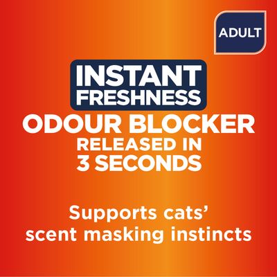 Ever Clean® Clumping Litter Instant Freshness - 10l