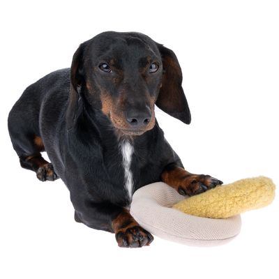 Bassotto con un gioco per cani in tessuto e peluche beige-giallo nella zampa.