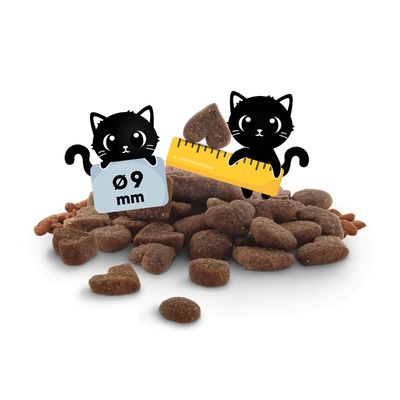 Cibo per gatti in diverse forme, con indicazione delle dimensioni: diametro Ø9 mm e lunghezza mostrata con righello.