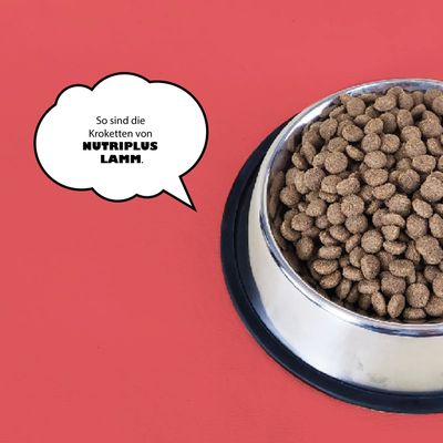 Миска с коричневыми крокетами и текст: Так выглядят крокеты Nutriplus Lamm.