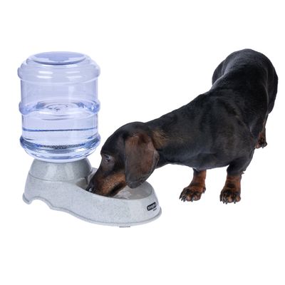 Cane che beve da un distributore d'acqua grigio con serbatoio trasparente, marchio zooplus visibile sulla base.