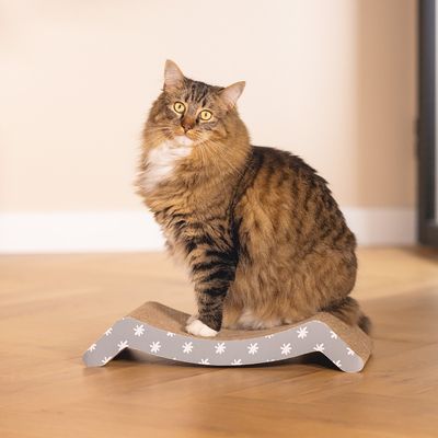 Brun tigrerad katt sitter på en grå klösbräda med vita blommönster, lämplig för klovård och lek.