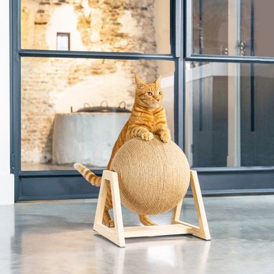 Chat roux debout sur un griffoir sphérique en corde avec support en bois, placé à l'intérieur devant une grande fenêtre.