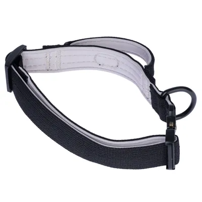 Schwarzes verstellbares Hundehalsband mit Metallring und Kunststoffverschluss, gepolstert für zusätzlichen Komfort. Schwarzes verstellbares Hundehalsband mit Metallring und Kunststoffverschluss, gepolstert für zusätzlichen Komfort.