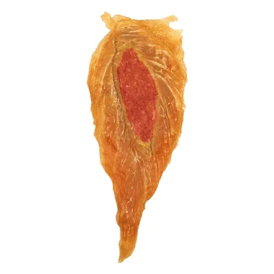 Sušené kuracie filé s červeným mäsovým jadrom, vhodné ako snack alebo odmena pre domáce zvieratá.