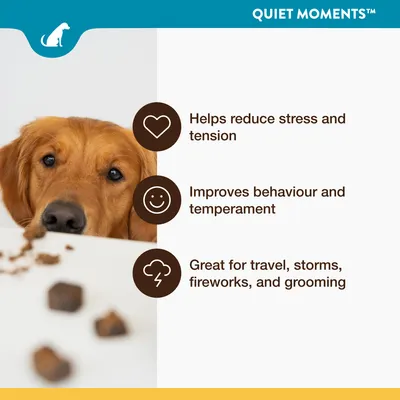 Texte en anglais : Helps reduce stress and tension. Improves behaviour and temperament. Great for travel, storms, fireworks, and grooming. Marque : Quiet Moments.