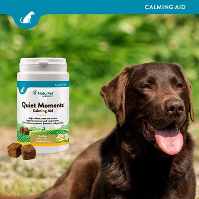 NaturVet Quiet Moments Calming Aid for dogs, 70 soft chews, helps reduce stress and tension. Net weight: 154g.