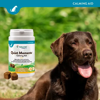 NaturVet Quiet Moments Calming Aid til hunde, 70 bløde godbidder, hjælper med at reducere stress og spændinger. Nettovægt: 154g.
