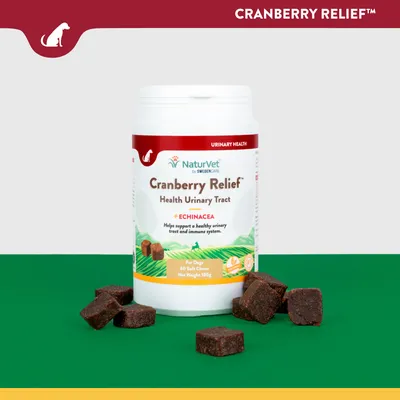 Boîte NaturVet Cranberry Relief Health Urinary Tract + Echinacea, 60 bouchées molles pour chiens, poids net 180 g. Texte en anglais sur la santé urinaire et immunitaire.