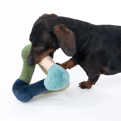 Cane che gioca con un gioco di peluche tricolore in verde, blu e beige.