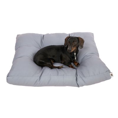 Hund liegt auf einem grauen, gepolsterten Hundebett. Produkt zeigt Komfort und Grösse des Bettes.