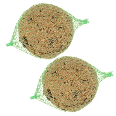 Deux boules de graisse pour oiseaux dans un filet vert, visibles en gros plan sur fond blanc. Mélange compact de graines et matières grasses, emballé individuellement.