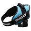 JULIUS-K9 IDC® Power Harness, aquamarine Grootte: L