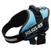JULIUS-K9 IDC® Power Harness, aquamarine Grootte: L