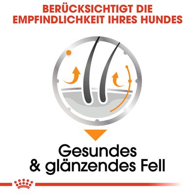 Texte en allemand : 'Berücksichtigt die Empfindlichkeit Ihres Hundes. Gesundes & glänzendes Fell' avec illustration de poils et flèches orange.