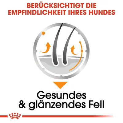 Berücksichtigt die Empfindlichkeit Ihres Hundes. Gesundes und glänzendes Fell.