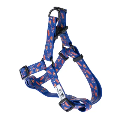 Harnais bleu réglable avec motifs rouges et jaunes, boucles en plastique noir, anneaux métalliques, étiquette blanche visible sur la sangle inférieure.