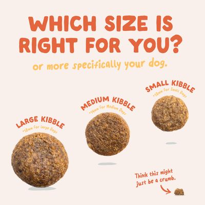 Edgard & Cooper Small Adult Hond Kip graanvrij