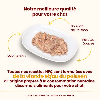 Almo Nature HFC Complete 6 x 70 g pour chat