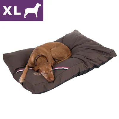 Hund ligger på brun XL-hundbädd med synlig rand och märke. Lila ruta med vit text: XL och siluett av hund uppe till vänster.