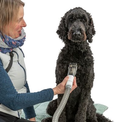 Trixie klippesett med pelssuger