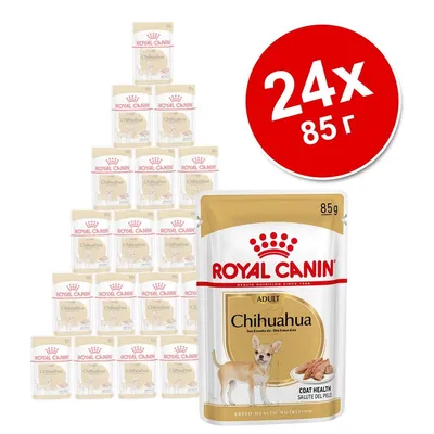 Royal Canin Chihuahua Adult, 24 пакета по 85 г. Видими са опаковките с изображение на чихуахуа и надпис Coat Health. Червен кръг с текст: 24x 85 г.