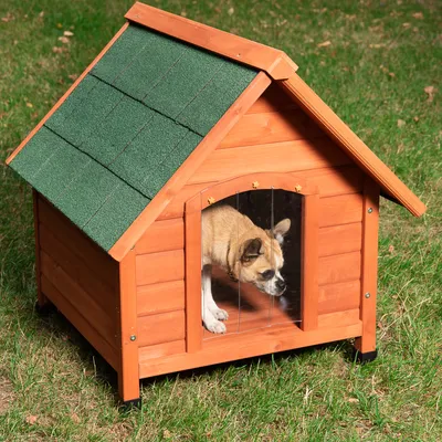Niche pour chien en bois avec toit vert, un petit chien à l’intérieur visible par l’entrée transparente. Posée sur de l’herbe.