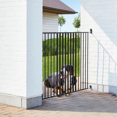 Cancello di sicurezza in metallo nero installato tra due muri bianchi, con un cane grande sdraiato dietro la barriera all'esterno su pavimentazione in mattoni.