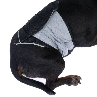 Cane che indossa un pannolino per cani grigio e nero che copre la parte posteriore.
