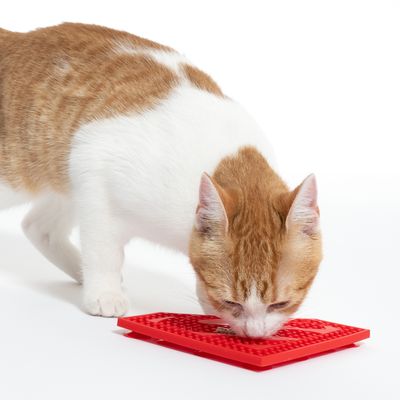 Червена близалка за котки, демонстрирана от червено-бяла котка по време на хранене. Постелка с релефна повърхност за бавно поемане на храна.