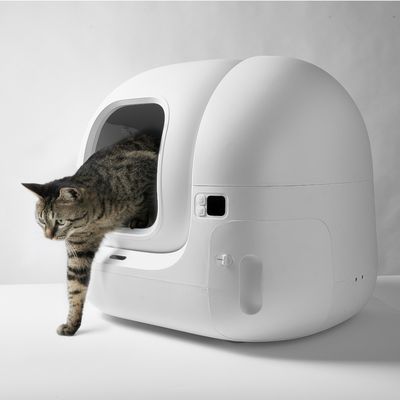 Litteră pentru pisici cu design modern, formă ovală, pisica iese prin deschidere. Elemente de control vizibile pe lateral.