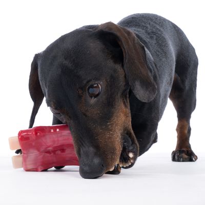 TIAKI Gioco da masticare al gusto di pancetta