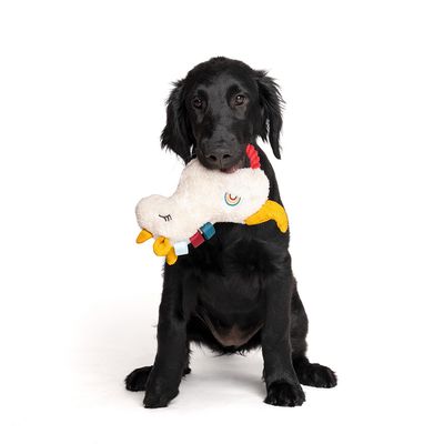 TIAKI Peluche licorne avec corde pour chien