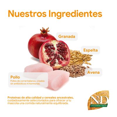 Ingredientes: granada, espelta, avena, carne de pollo. Proteínas de alta calidad y cereales ancestrales, seleccionados cuidadosamente para una alimentación natural y equilibrada para mascotas.