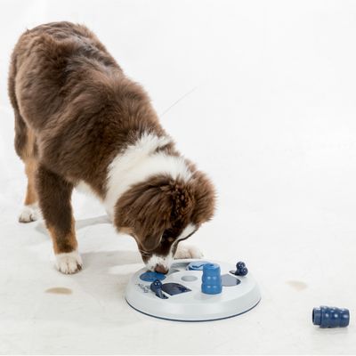 Rond intelligentiespeelgoed met blauwe en witte elementen, opschrift 'Dog Activity', beweegbare delen om snacks te verstoppen.